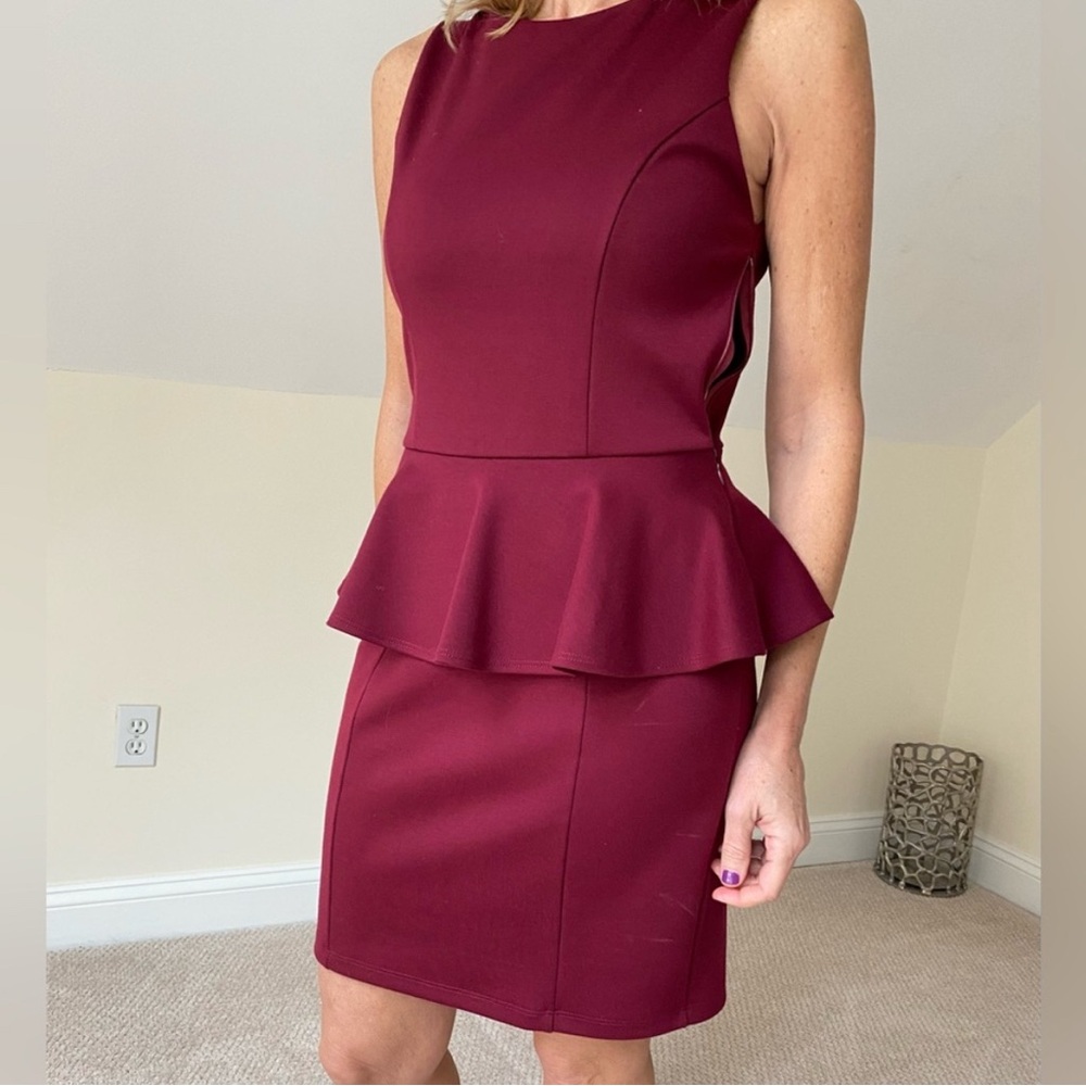 Elegant Burgundy Dress